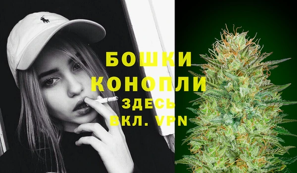 сатива Абаза