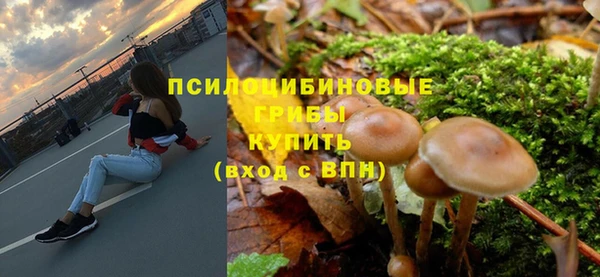 тгк Осинники