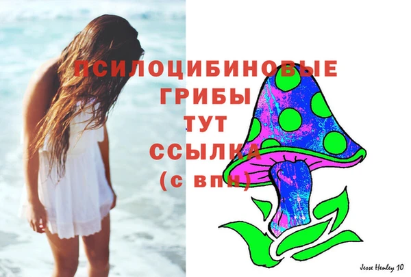 тгк Осинники