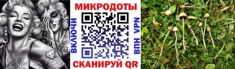 даркнет какой сайт  Спас-Клепики  Галлюциногенные грибы мухоморы 
